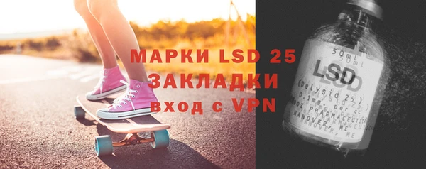 прущие грибы Армянск