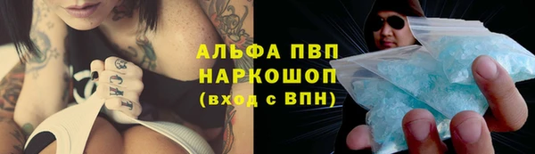 прущие грибы Армянск