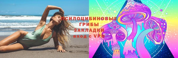 прущие грибы Армянск