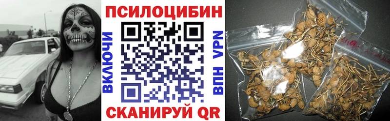 Псилоцибиновые грибы MAGIC MUSHROOMS ОМГ ОМГ как войти Тайга дарнет шоп