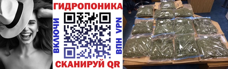 Конопля ГИДРОПОН  Тайга 